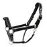 Black leather horse halter with metal hardware