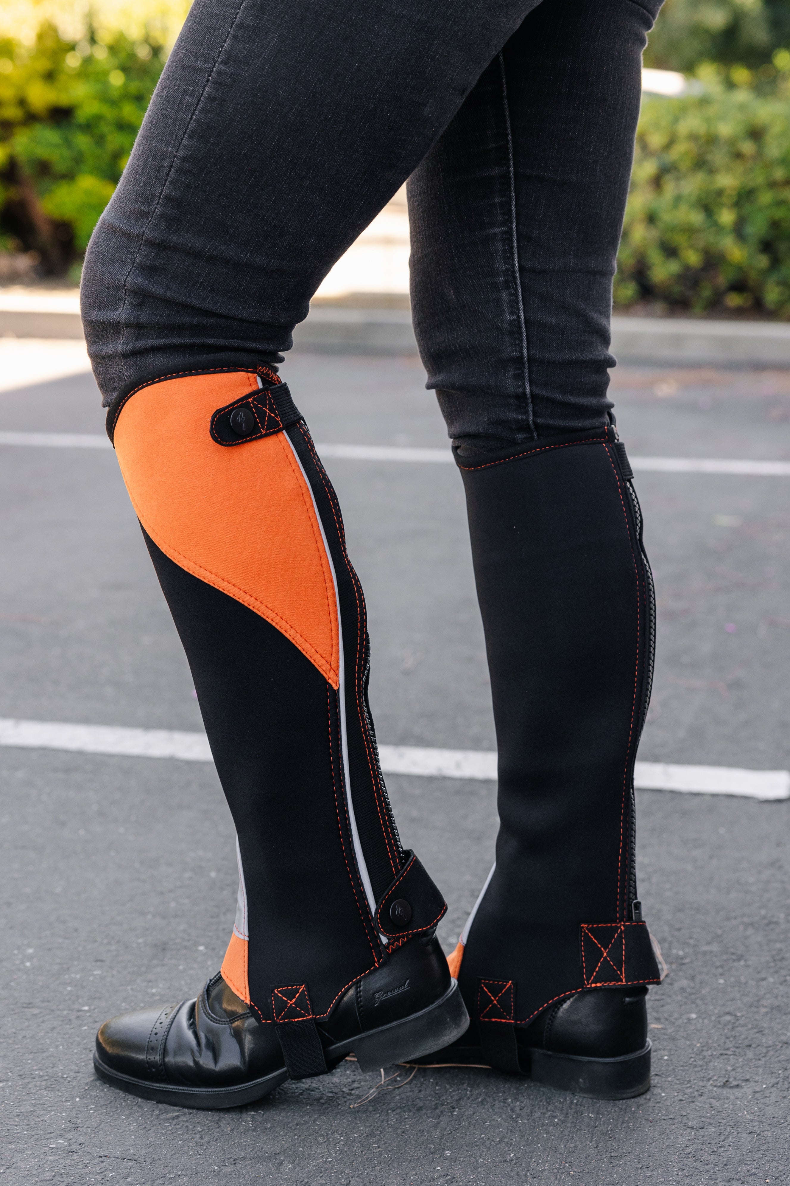 Lake Shore Water Proof Half Chaps – Grewal Equestrian