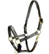 Padded Pony Leather Halter