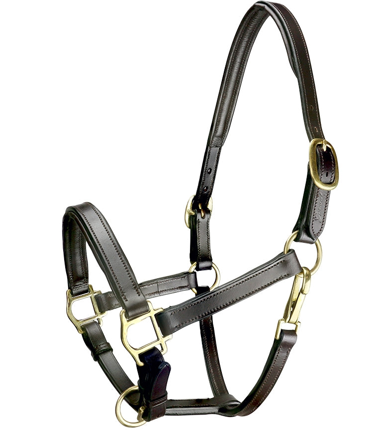 Padded Pony Leather Halter