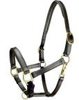 Padded Pony Leather Halter