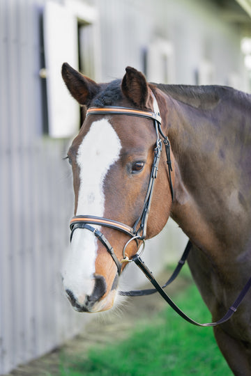 Broadmoor Mono Crown Flash Bridle